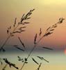 Knowboundaries Life and Career coaching